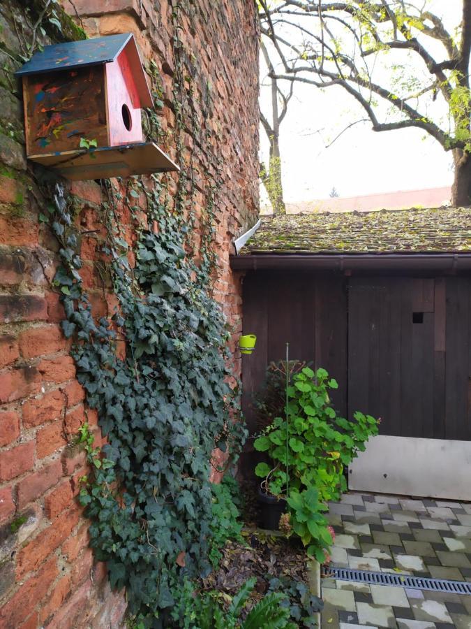 Cozy Uppertown Studio Zagreb Exterior foto